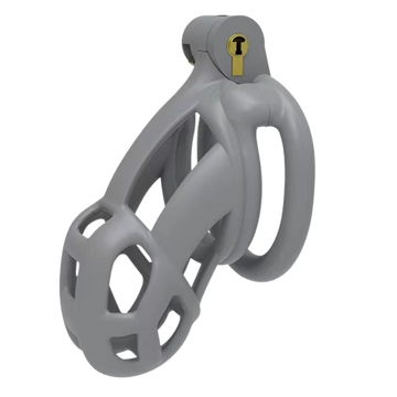 Cement Gray Sung Cobra Chastity Device Kit (2.96 Inches)